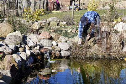 cut shore plants back