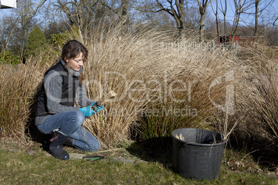 gardening in the spring