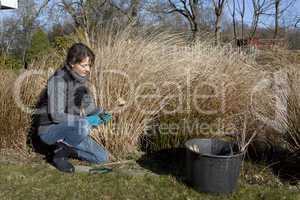 gardening in the spring