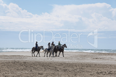 horseback ride on the beach