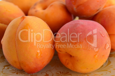 apricots