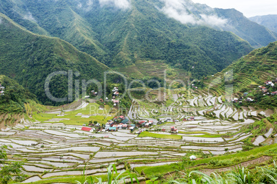 rice fields terraces in philippines