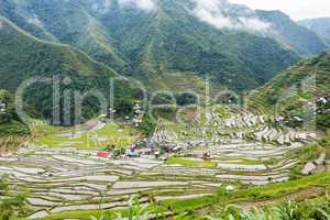 rice fields terraces in philippines