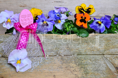 frühling blumen holz hintergrund