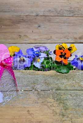 frühling blumen holz hintergrund