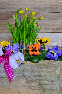 frühling blumen holz hintergrund