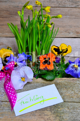 frühling blumen holz hintergrund