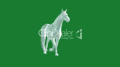glass horse in the gallop animation - green screen