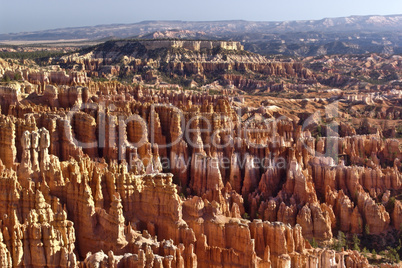 Bryce Canyon, Sonnenuntergang, orange, Felsen, Nationalpark, national, park, naturwunder, Gesteinsformation, Baum, einsam,