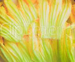 Retro look Courgette flowers