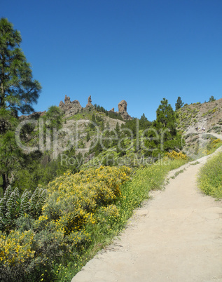 roque nublo, gran canaria