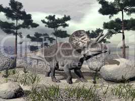 zuniceratops dinosaur - 3d render