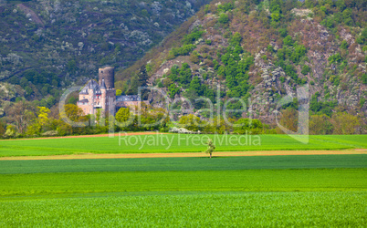 blick über felder auf die burg katz in goarshausen