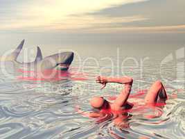 shark attack - 3d render