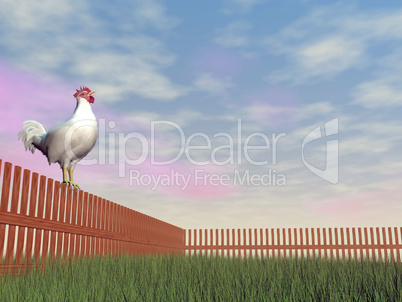 rooster crowing - 3d render