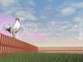 rooster crowing - 3d render