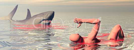 shark attack - 3d render