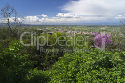 Landschaft in der Toskana, Italien - Landscape in tuscany, italy