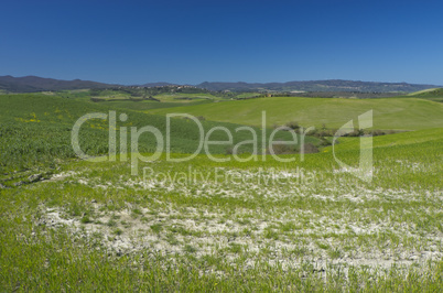 Landschaft in der Toskana, Italien - Landscape in tuscany, italy