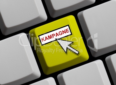 Kampagne online