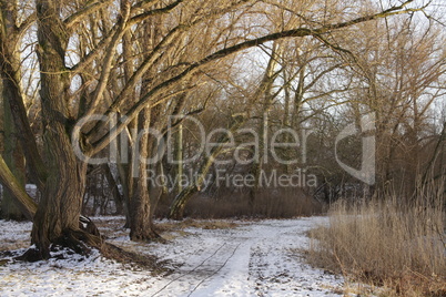 winterlandschaft