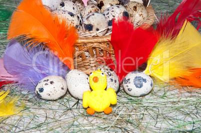 Easter egg and Chick.