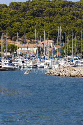 marina of gruissan in southern france