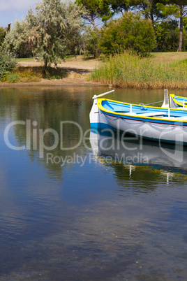 rowing boats on the pond