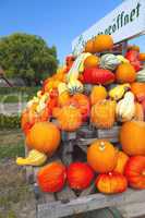 many colorful ornamental gourds on a wagon