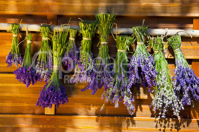 to dry hung up scented lavender bundles