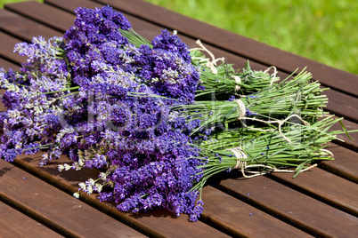 fresh bunch of scented lavender