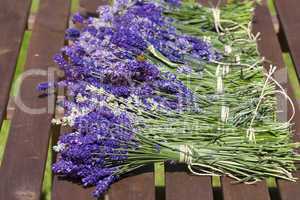 lavender after harvest on the table
