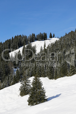 wald landschaft in den bergen mit schnee im winter