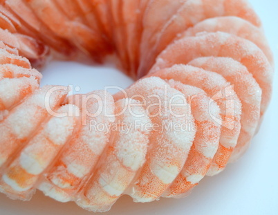 Fresh prawns frozen circle