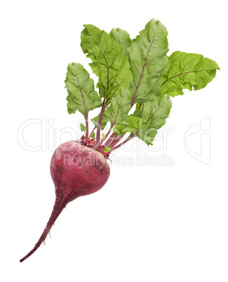 beetroot with leaves isolated on white