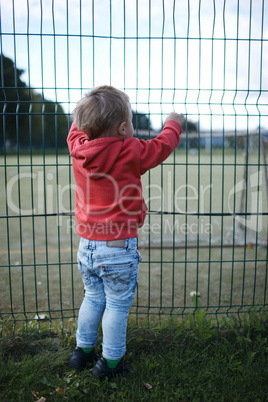 little boy peering through a wire fence