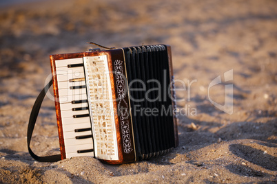 accordian on a sandy beach