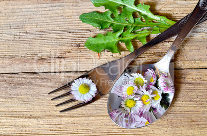 gänseblümchen auf einer gabel auf holzhintergrund