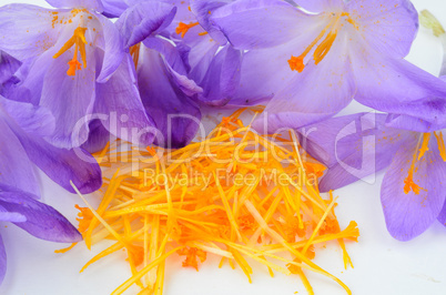 saffron spice close up
