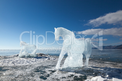 Horses, a sculptures  from ice