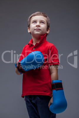 Image of cute young boxer posing in studio