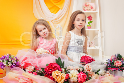 Beautiful little sisters posing in elegant dresses