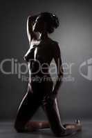 Silhouette of sensual naked oiled brunette