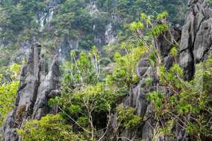 limestone coastline landscape