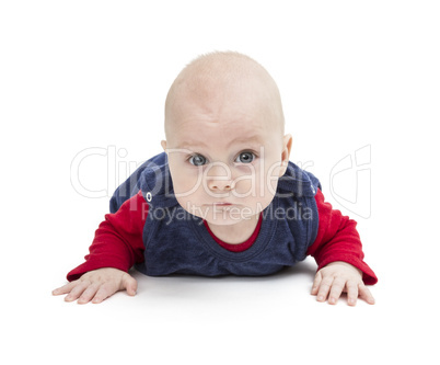 crawling toddler looking into camera