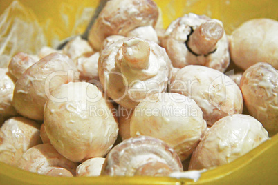 Champignon mushrooms in marinade ready for cooking