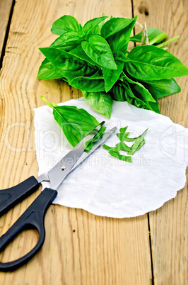 Basil green with scissors on board