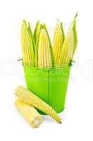 Corn on the cob in a green bucket