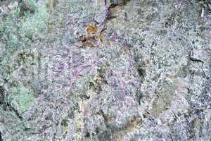 Granite pink and green