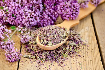 Herbal tea of fresh and dry oregano on spoon